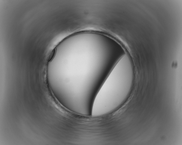 X0000089721367200706210844