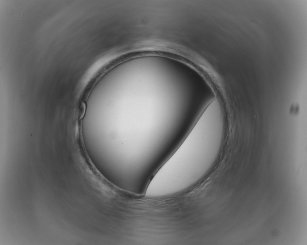 X0000089721368200706210844