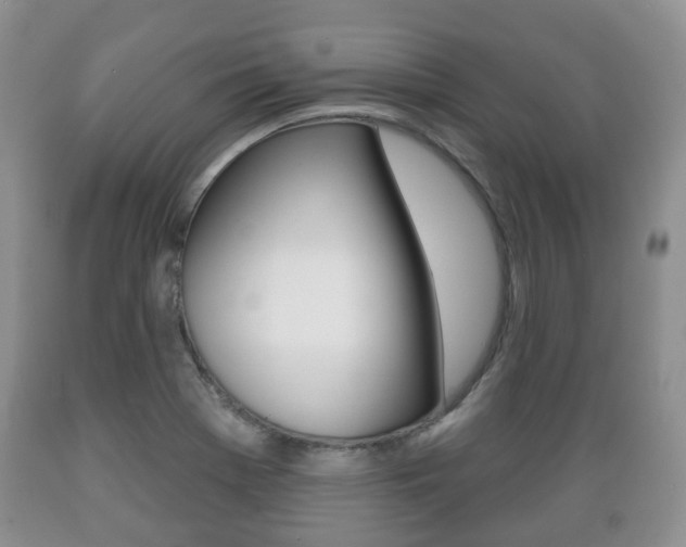 X0000089721369200706210844