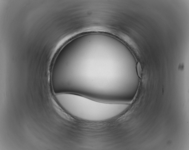 X0000089721372200706210844