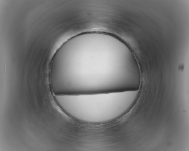 X0000089721374200706210844