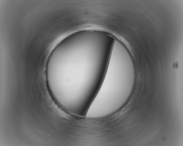 X0000089721375200706210844