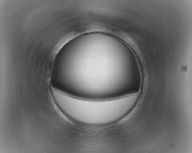 X0000089721377200706210844