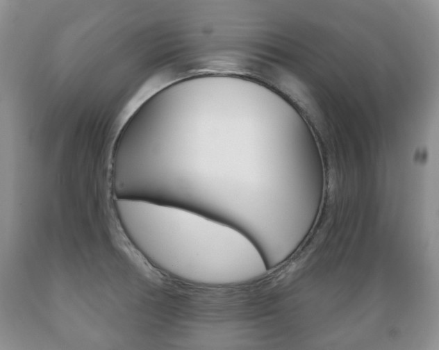 X0000089721378200706210844