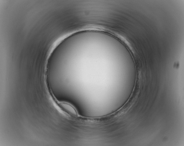 X0000089721379200706210844
