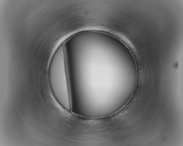 X0000089721380200706210844