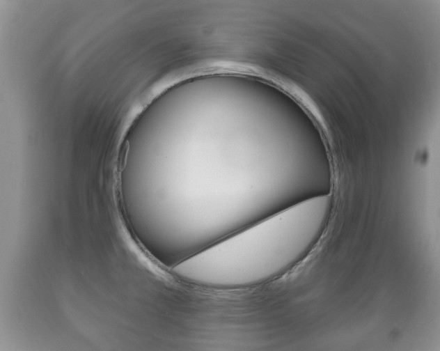 X0000089721381200706210844