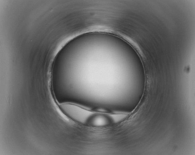 X0000089721383200706210844