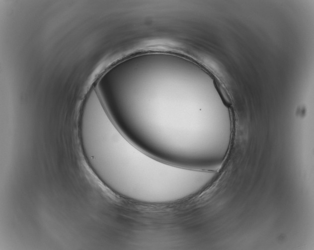 X0000089721384200706210844