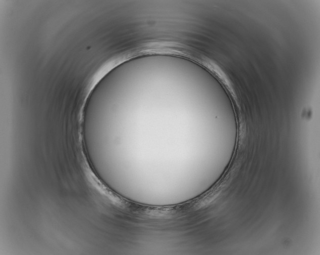 X0000089721386200706210844