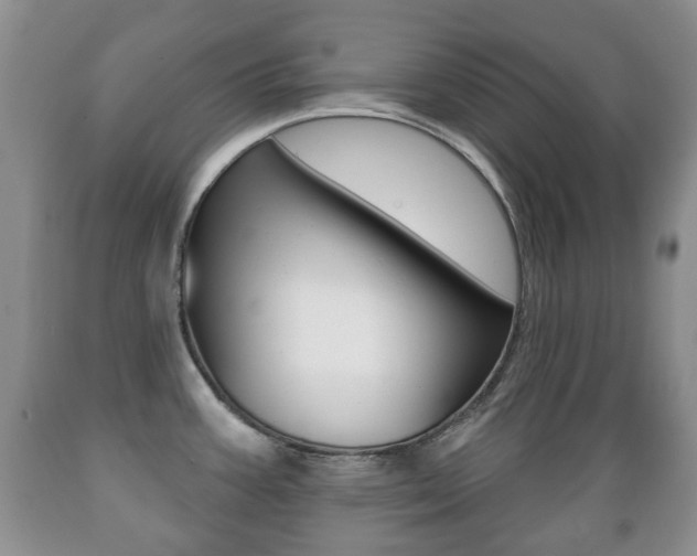 X0000089721387200706210844