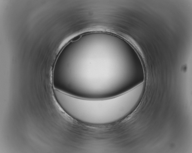 X0000089721388200706210844