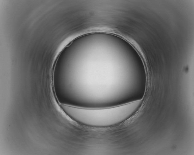 X0000089721389200706210844