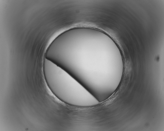 X0000089721390200706210844