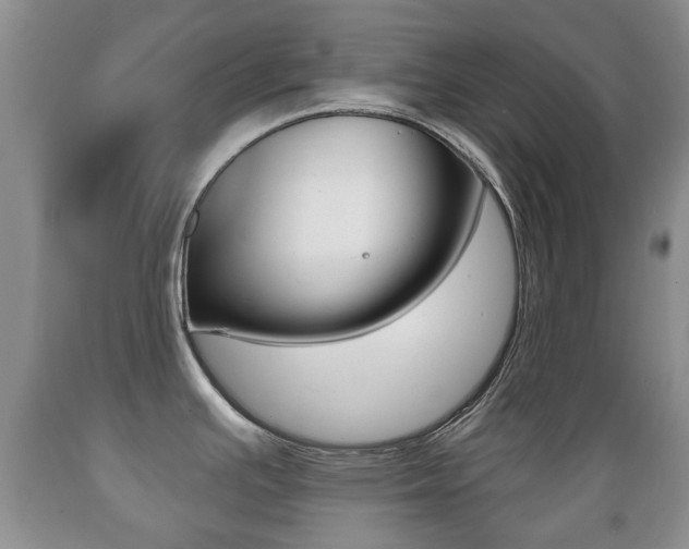 X0000089721391200706210843