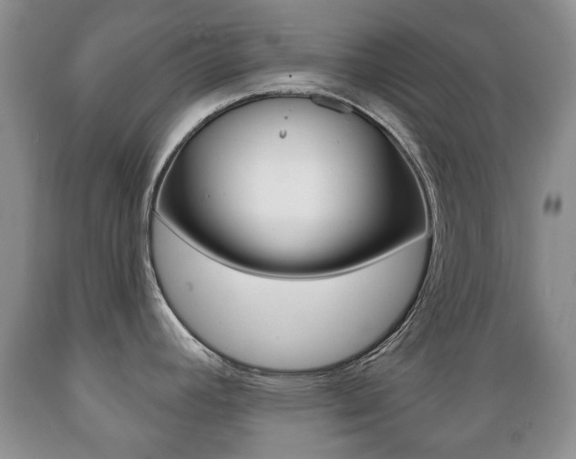 X0000089721392200706210843