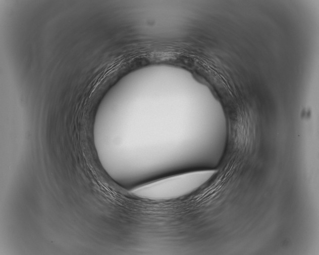 X0000089721393200706210843