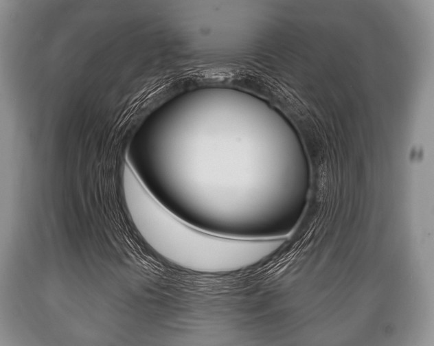 X0000089721394200706210843
