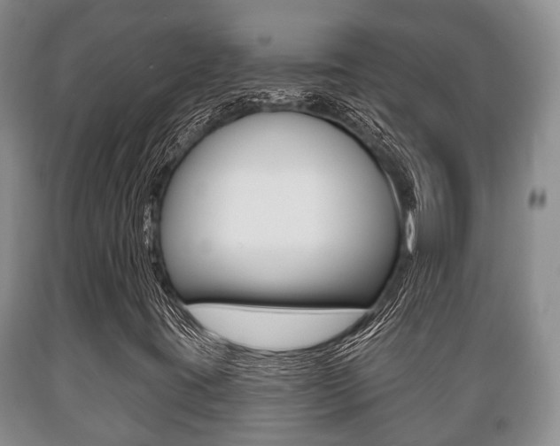X0000089721395200706210843