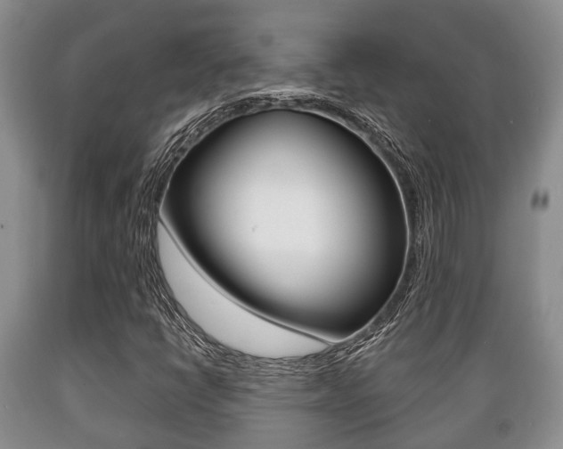 X0000089721398200706210843