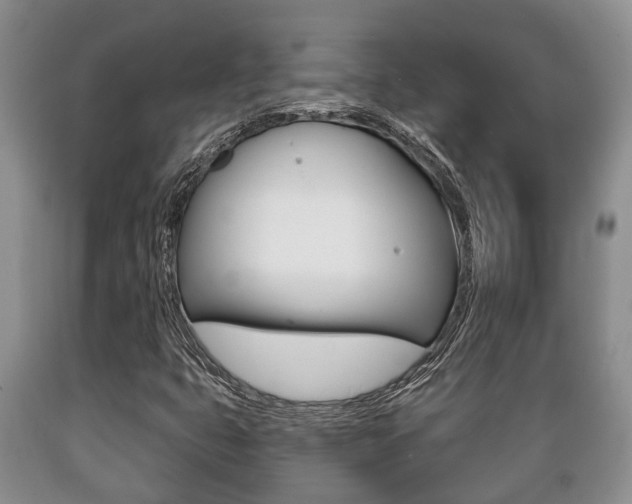X0000089721399200706210843
