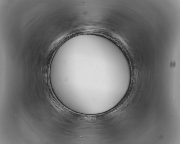 X0000089721403200706210843