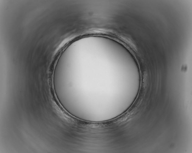X0000089721404200706210843