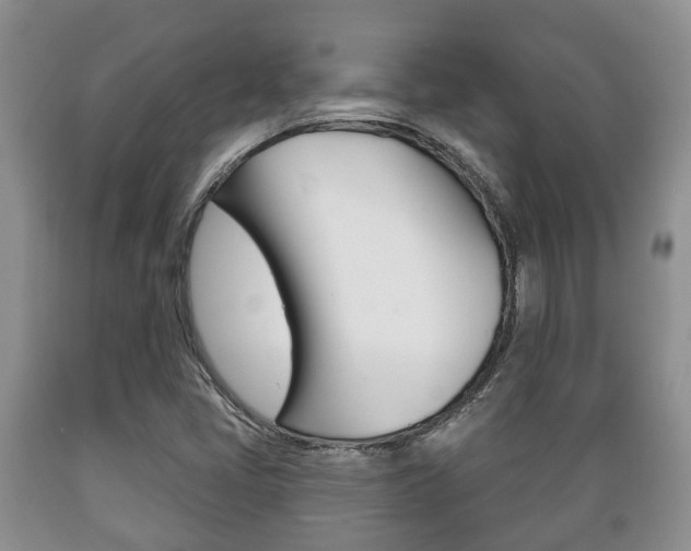 X0000089721405200706210843