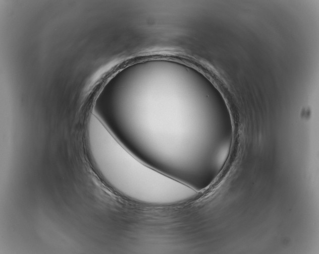 X0000089721406200706210843