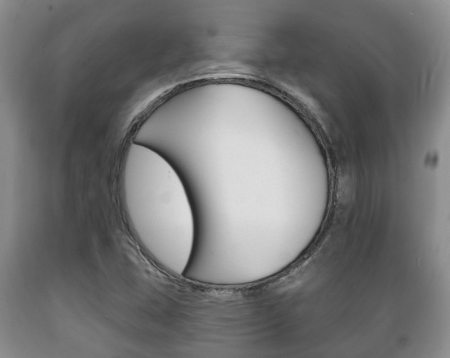 X0000089721407200706210843