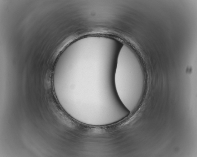 X0000089721409200706210843