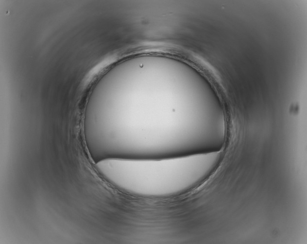 X0000089721411200706210843