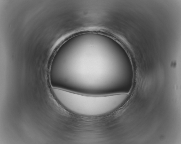 X0000089721412200706210843