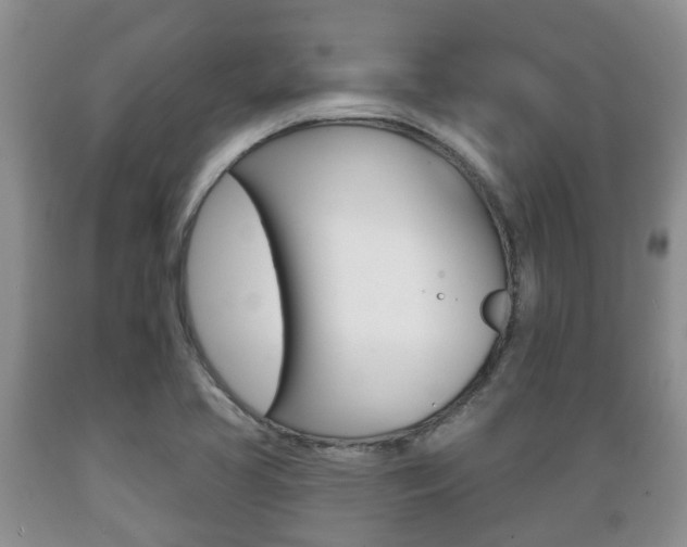 X0000089721413200706210843