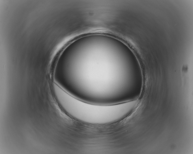 X0000089721414200706210843