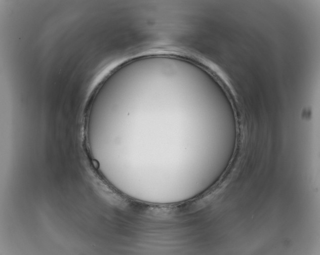 X0000089721415200706210843