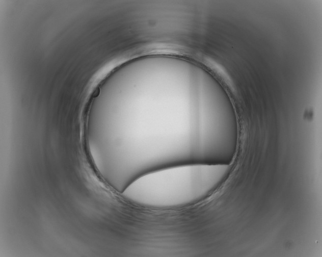 X0000089721419200706210843