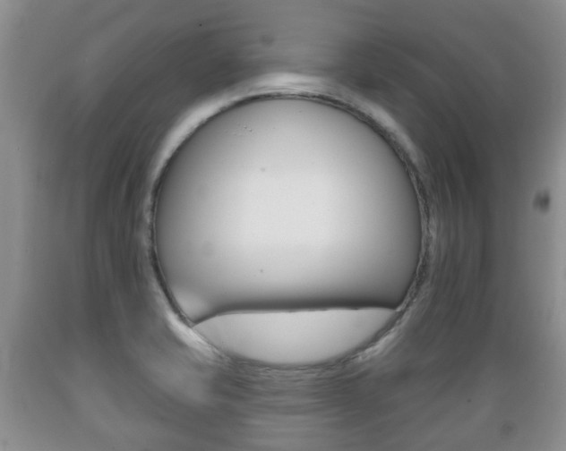 X0000089721421200706210843