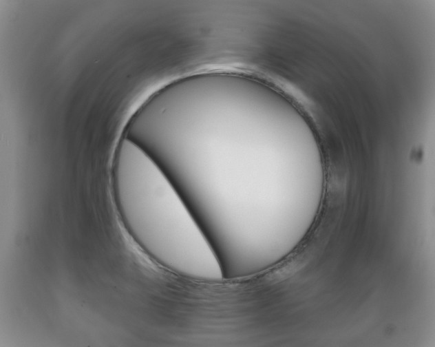 X0000089721423200706210843