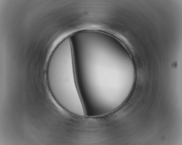 X0000089721424200706210843