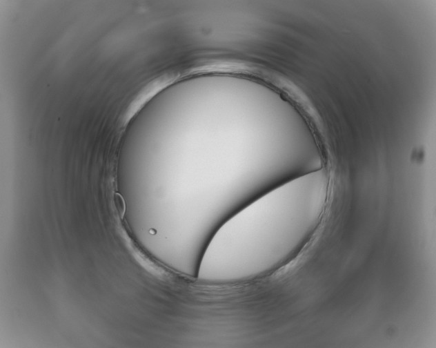 X0000089721425200706210843