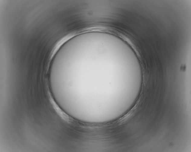 X0000089721426200706210843