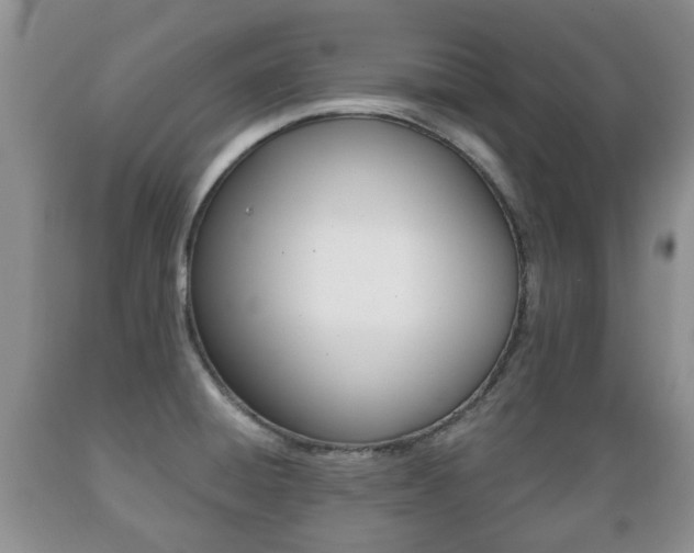 X0000089721428200706210843
