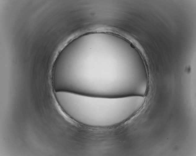 X0000089721429200706210843