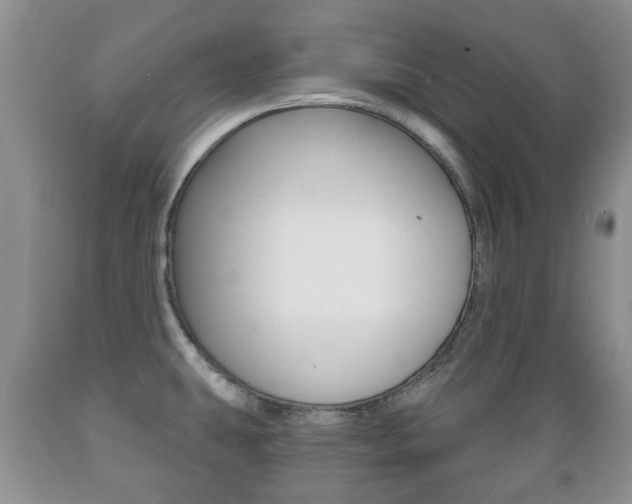 X0000089721431200706210843