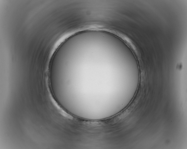 X0000089721432200706210843