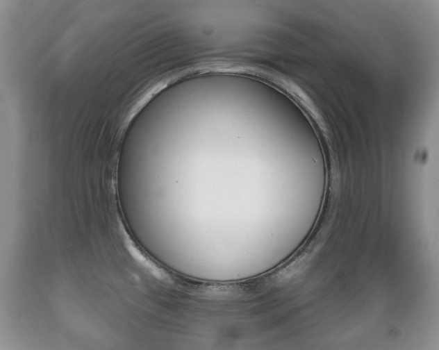X0000089721433200706210843