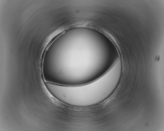 X0000089721434200706210843