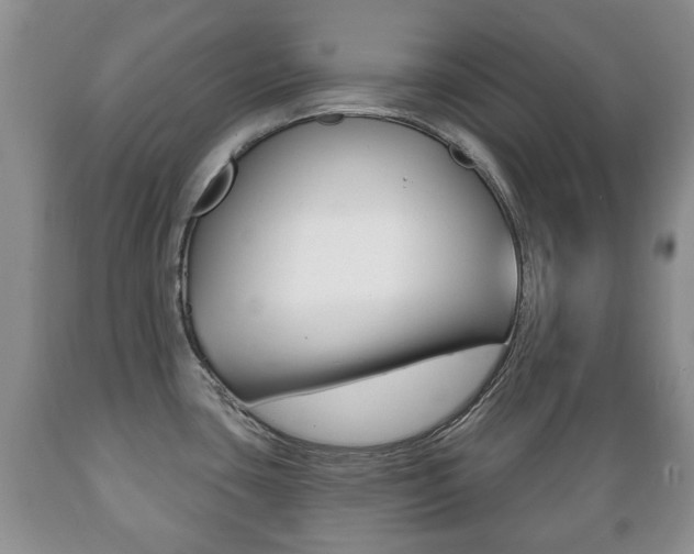 X0000089721435200706210843