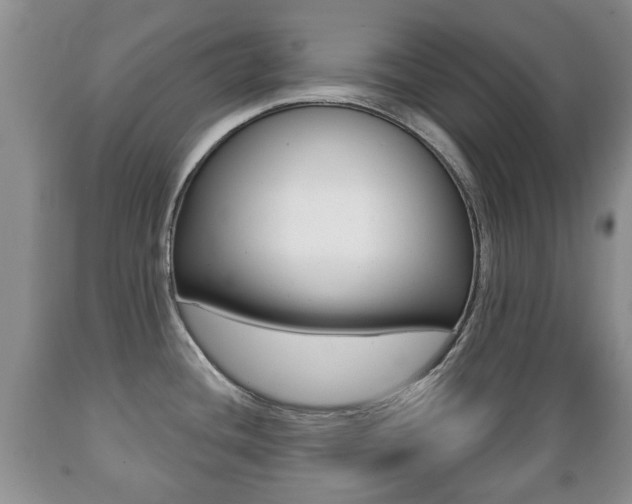 X0000089721436200706210843